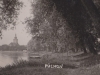Pohľad na nábrežie Váhu pri Púchove z tzv. Horného parku v roku 1930. Pohľadnica od pána S. Mikulu zachytila pôvodné neregulované koryto Váhu, rovnako neprestavaný katol. kostol a malý prístav