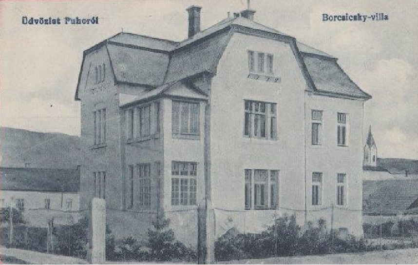 Vila Borčických - dnes Velitsovcov v Púchove, na pohľadnici z čias monarchie - cca začiatok 20. storočia
